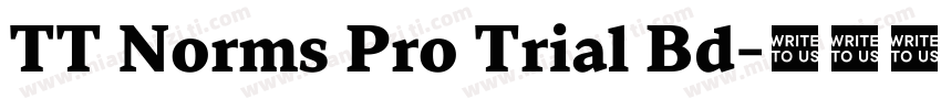 TT Norms Pro Trial Bd字体转换